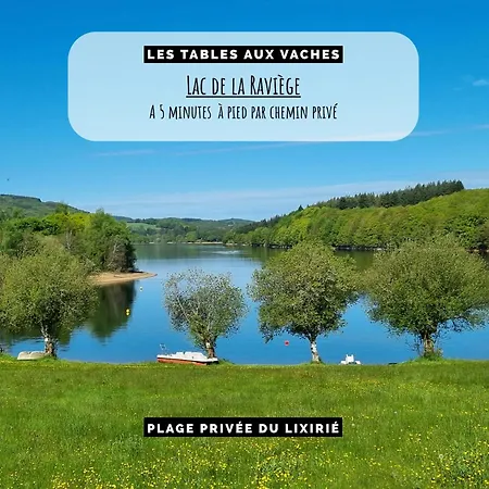 Les Tables Aux Vaches A La Salvetat-sur-Agout
