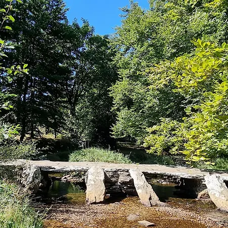 Les Tables Aux Vaches - Calme Et Nature Au Lac De La Raviege La Salvetat-sur-Agout
