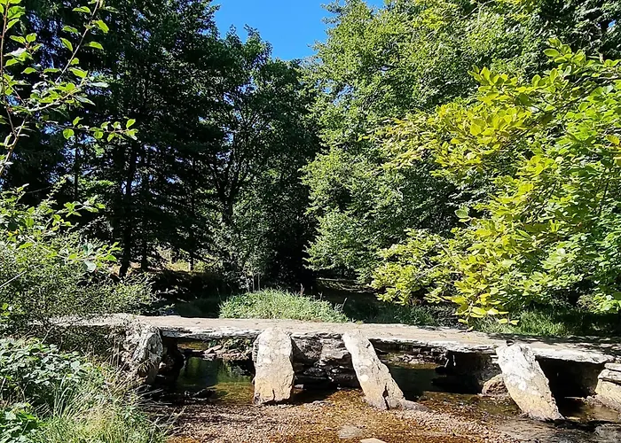 Les Tables Aux Vaches - Calme Et Nature Au Lac De La Raviege La Salvetat-sur-Agout